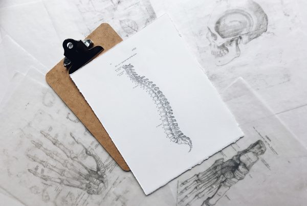 Drawing of a person's spine